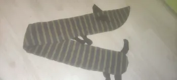 Écharpe