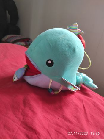 Baleine multi activités