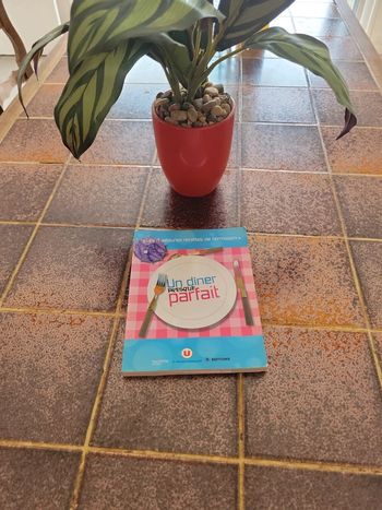 Un dîner presque parfait