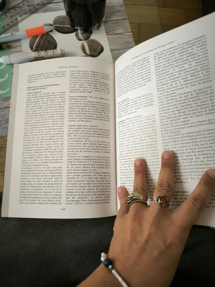 Nouvelle encyclopédie du cheval - photo numéro 4