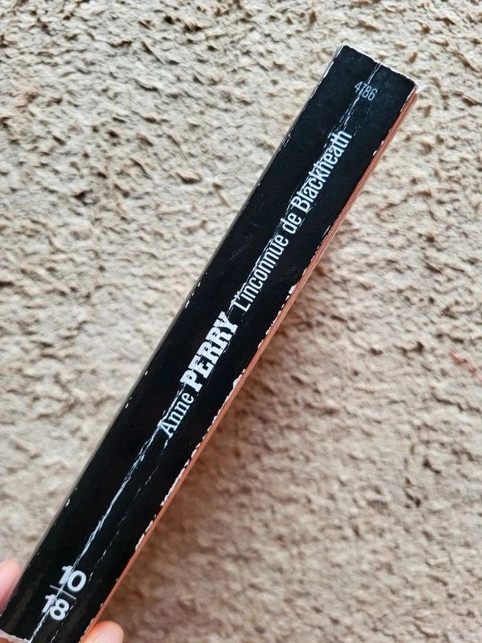 Livre L'inconnue de Blackheath d'Anne Perry - photo numéro 4