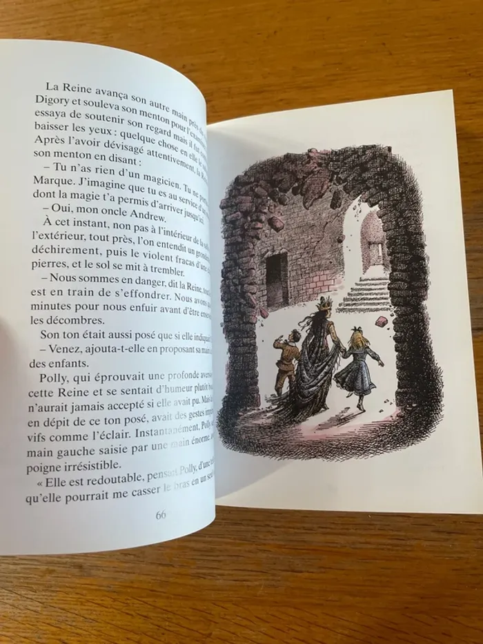 Les chroniques de narnia tome 1 - photo numéro 4
