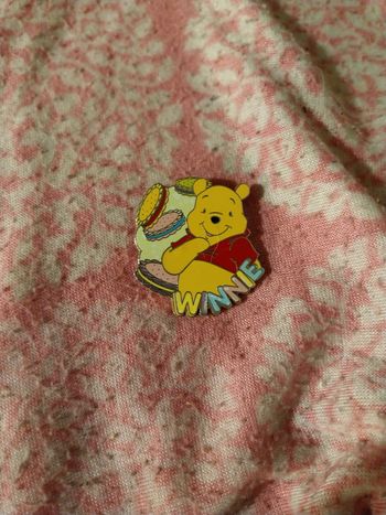 Pins Disney winnie