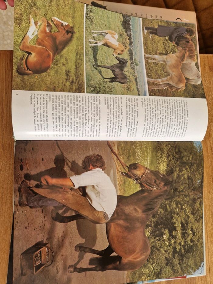 Livre la passion des chevaux - photo numéro 2