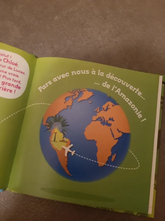 Les trésors de la jungle - photo numéro 4