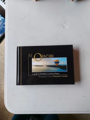 Tel un oiseau - Le golfe du Morbihan, la rivière d'Auray