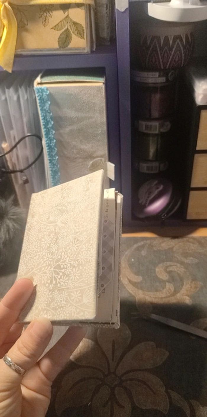 Scrapbooking/bullet journal - photo numéro 7