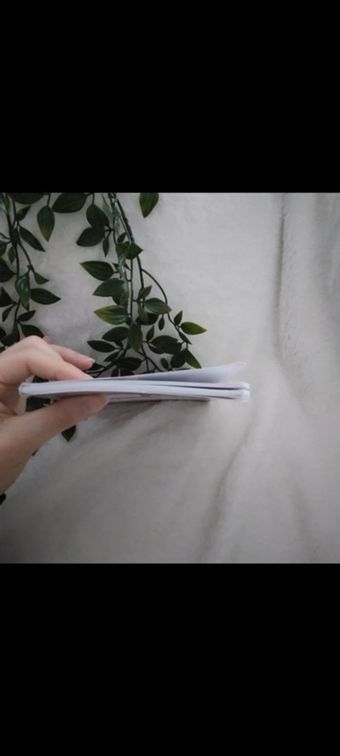 🌸Livre Pauca Meae de Victor Hugo 🌸 - photo numéro 5
