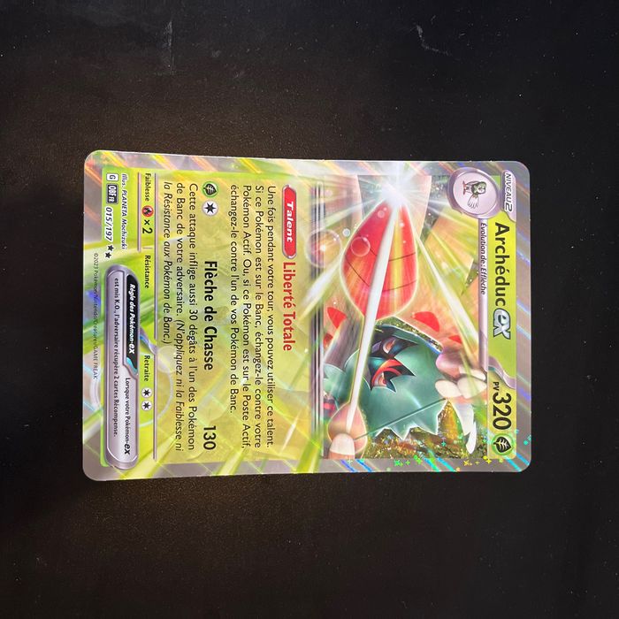 Grande carte Pokémon