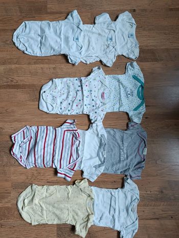 Bodies manches courtes 6 mois