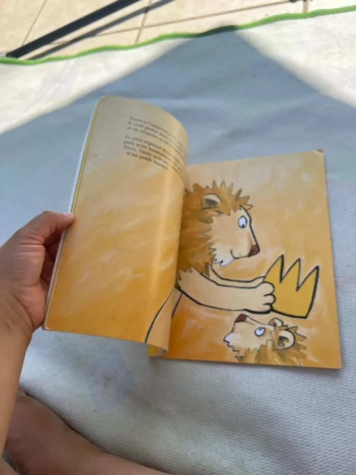 Livre Nuno Petit Roi – Bon état - photo numéro 2
