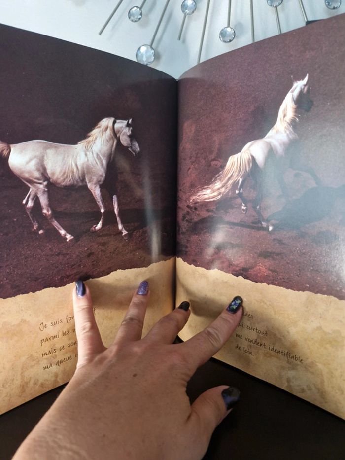 Livre les chevaux du soleil - photo numéro 7