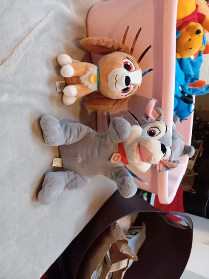 Lot belle et le clochard