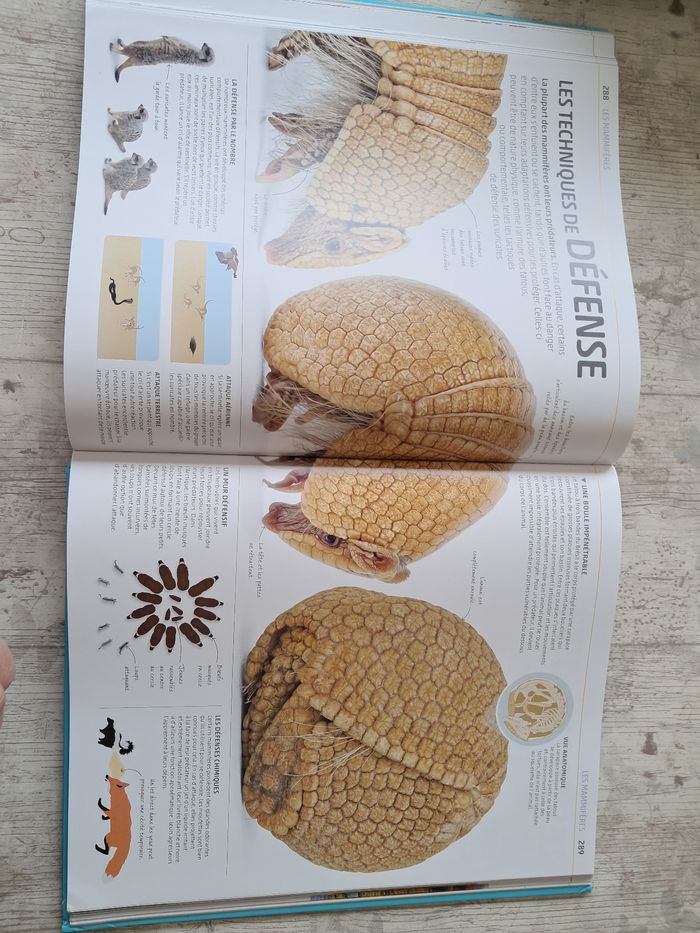 La grande encyclopédie visuelle de la nature - photo numéro 6