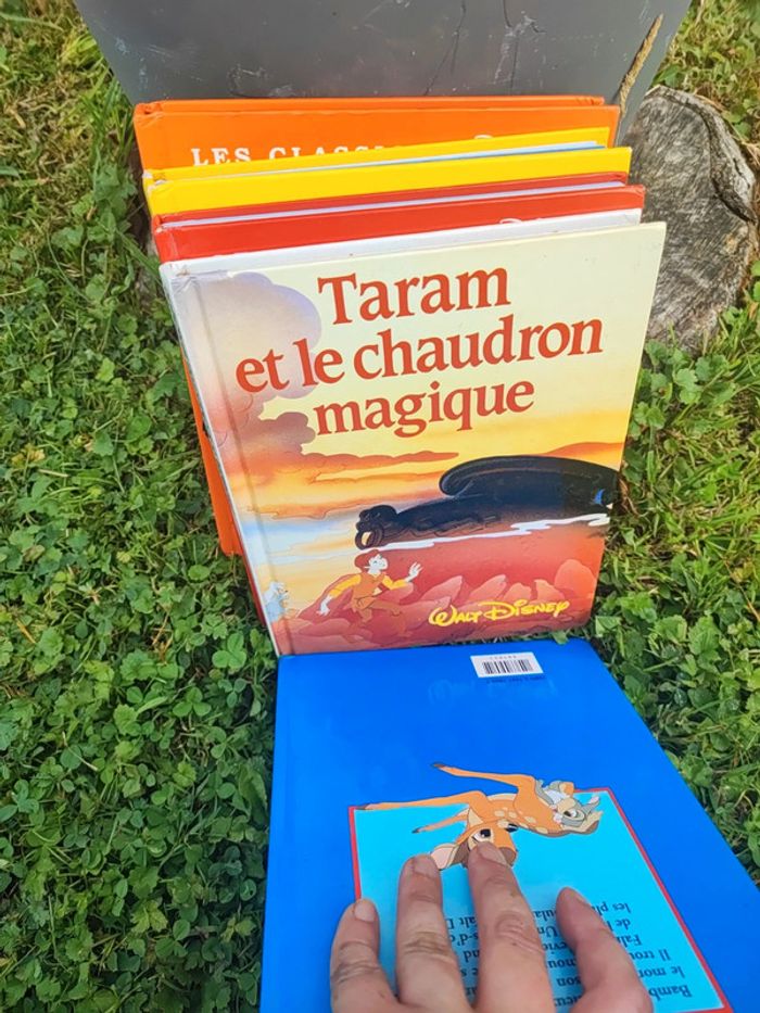 Lot livres Disney les classiques - photo numéro 5