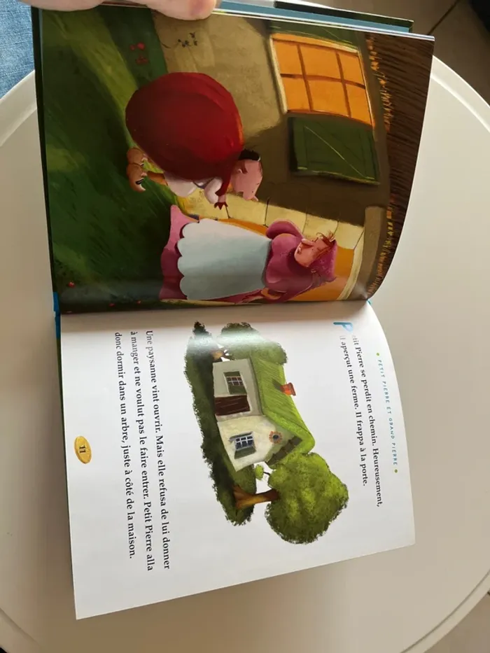 Petit Pierre et Grand Pierre - photo numéro 7
