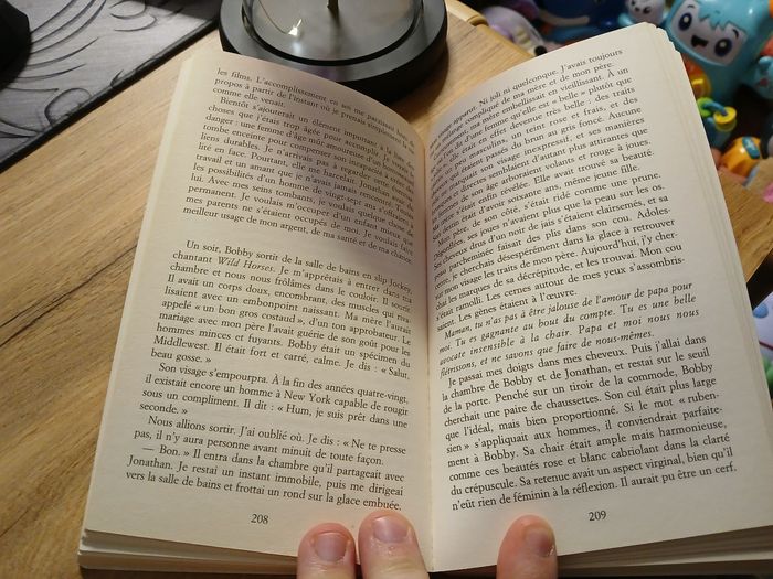 LIVRE LA MAISON DU BOUT DU MONDE DE MICHAEL CUNNINGHAM - photo numéro 3