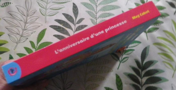 Journal d'une princesse T5 L'anniversaire d'une princesse de Meg Cabot - photo numéro 3