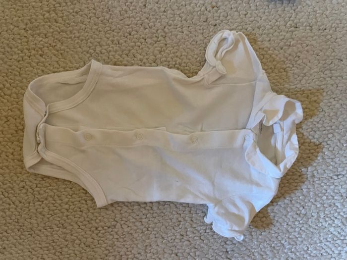 Body