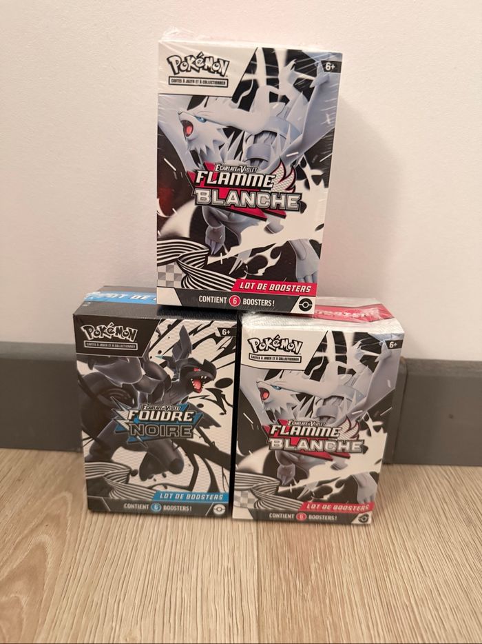 Bundle EV10.5 FR - Flamme Blanche - photo numéro 3