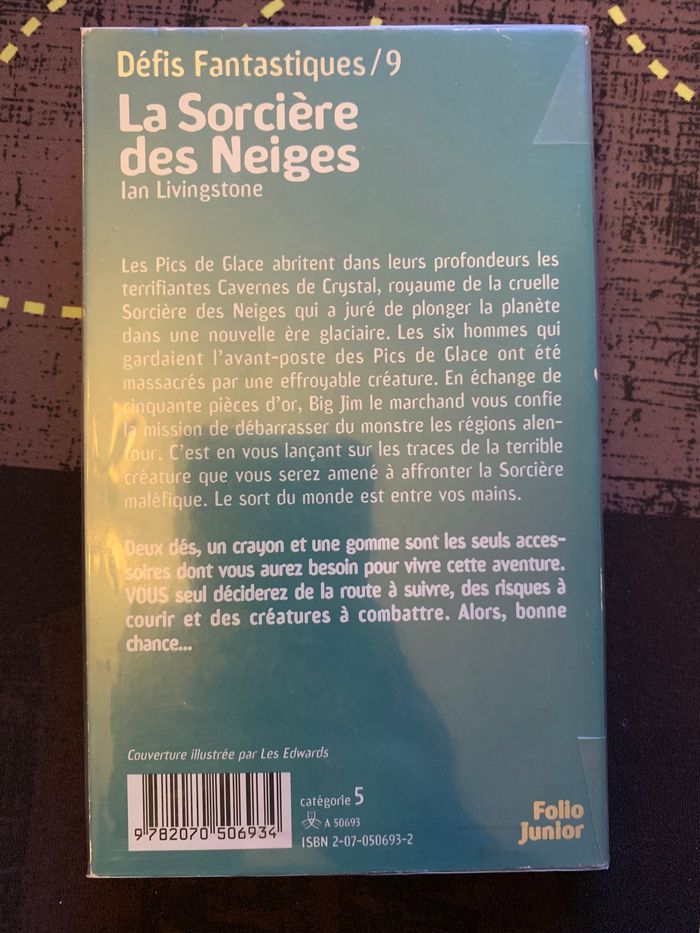 Un livre dont vous êtes le héros - photo numéro 2