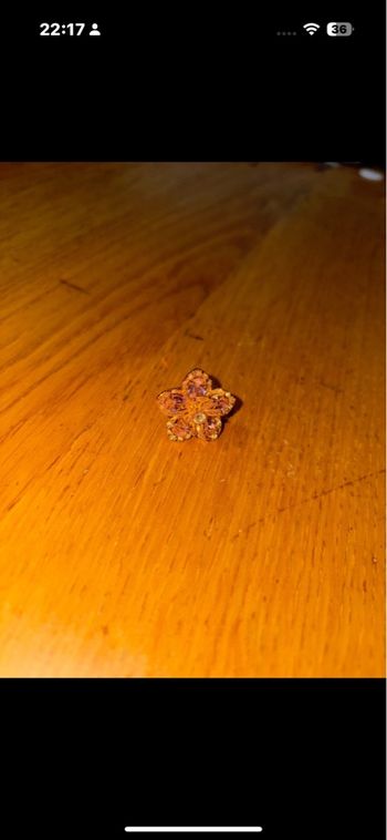 Bague en fleur 