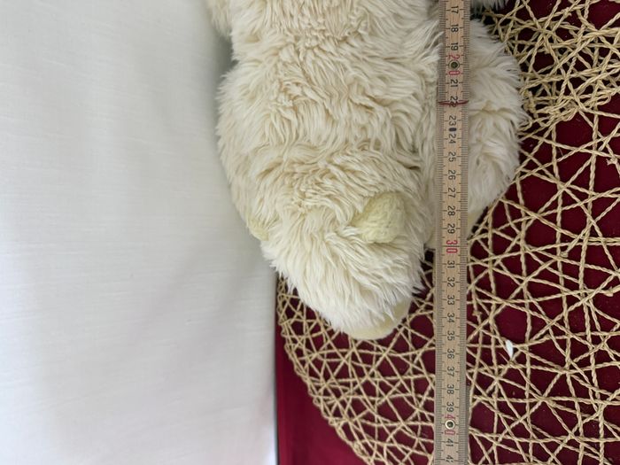 Peluche ours polaire MARINELAND beige - photo numéro 5