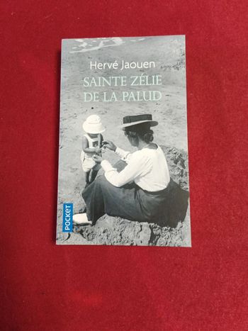 Sainte Zélie de la Palud " Hervé Jaouen " Pocket