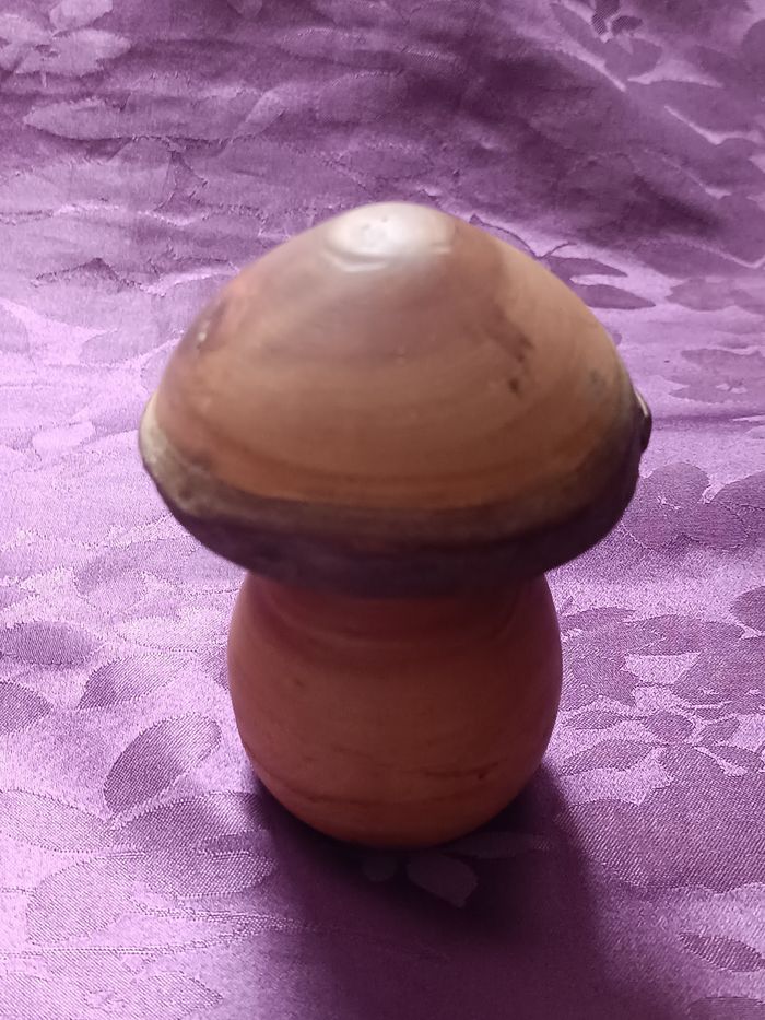 Champignon en bois et autres - photo numéro 3