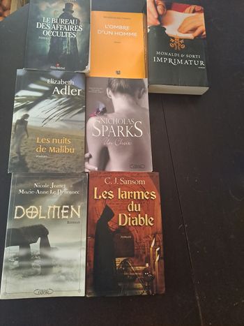 Lot de romans grand format 