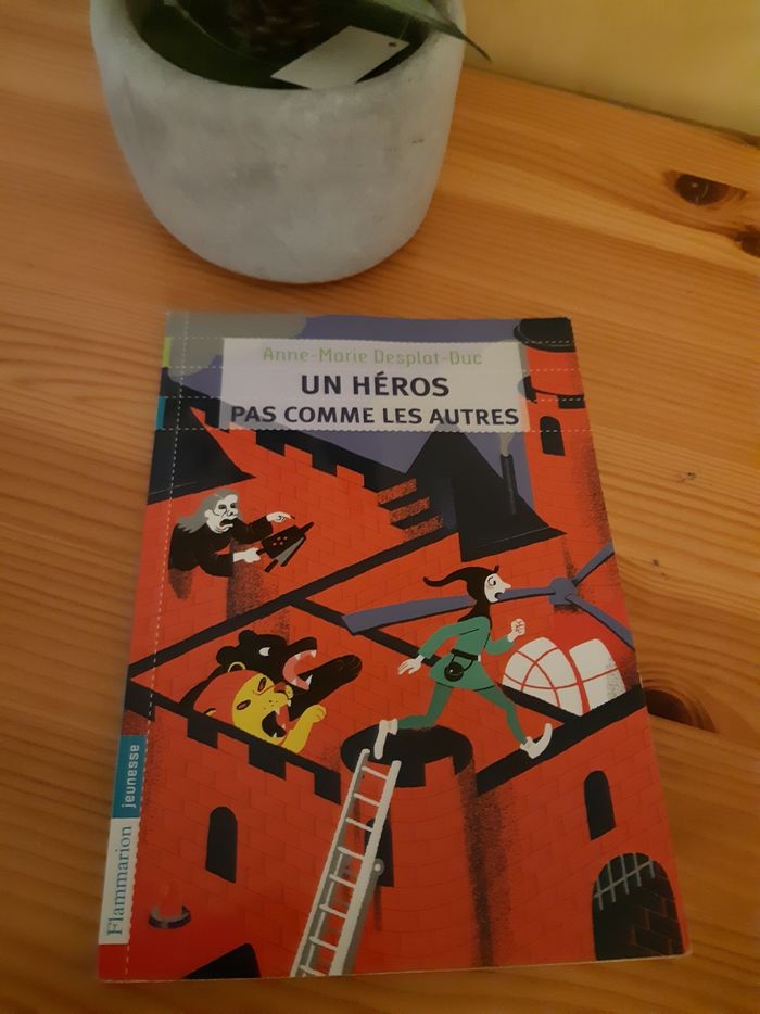 Livre un héros pas comme les autres Anne-Marie Desplat-Duc