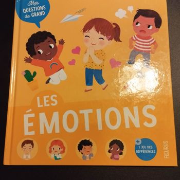 Livre enfant Fleurus mes questions de grand les émotions