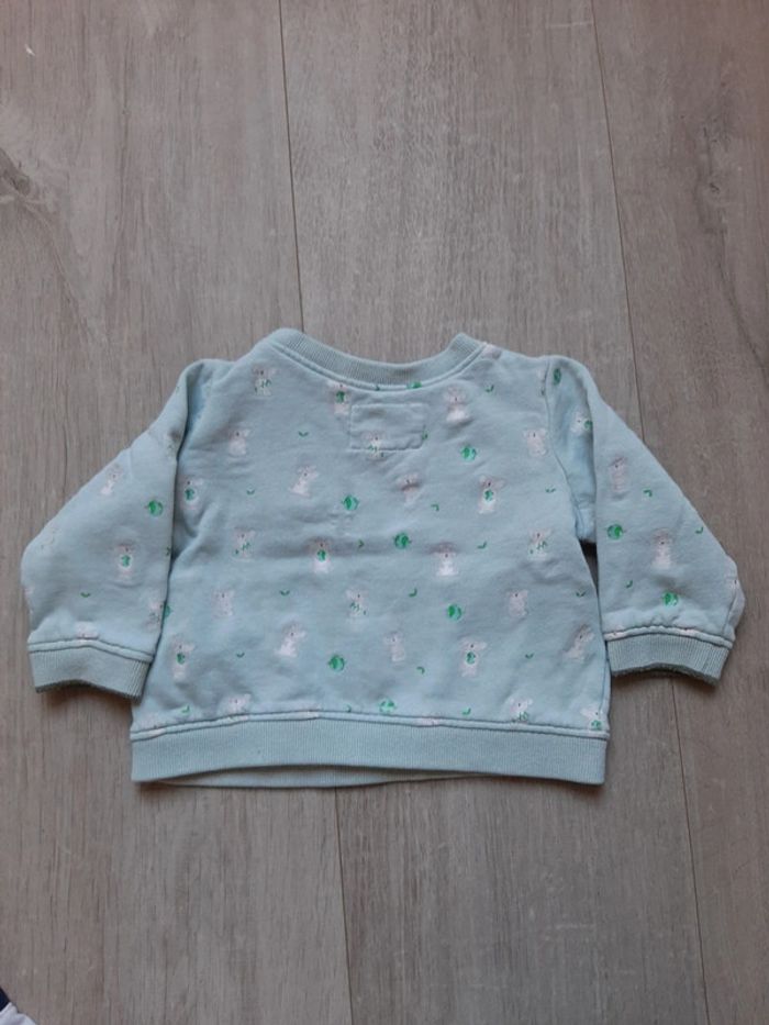 Sweat 12 mois - photo numéro 2