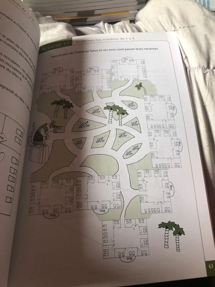 Tatou 1 mathématiques Plantyn - photo numéro 10