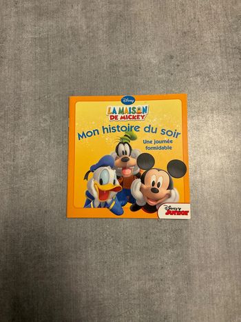 Livre Disney, mon histoire du soir, une journée formidable