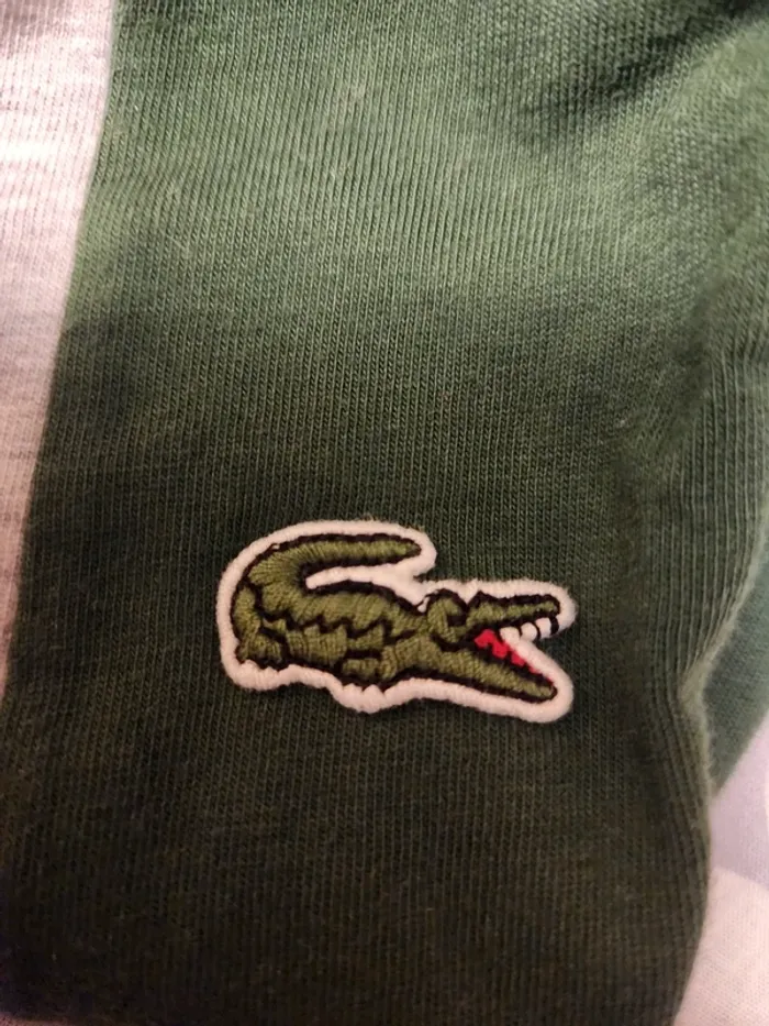 Tshirt lacoste - photo numéro 4