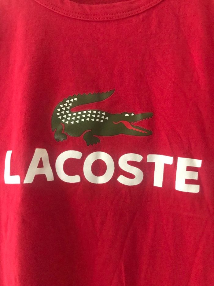 Tee shirt coton                                                                      Taille petit - photo numéro 2