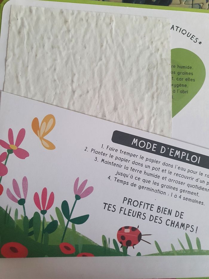 Livre "Écureuil aime les fleurs" - photo numéro 2