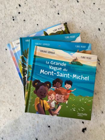 Lot de 5 livres Merveille de France hachette jeunesse