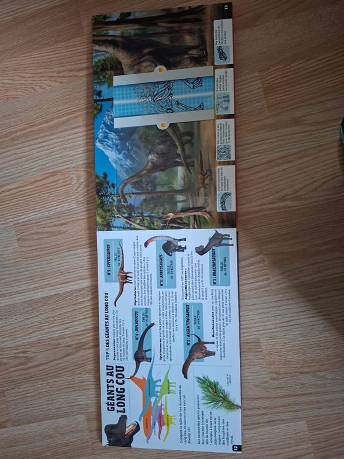 Livre dinosaures - photo numéro 4