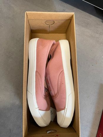 Tennis rose 37