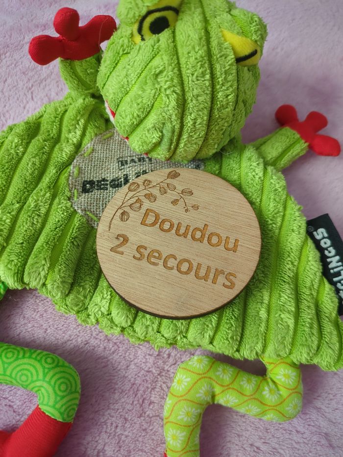 Grenouille - photo numéro 2