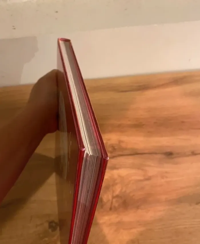 Lot de livres princesses - photo numéro 18