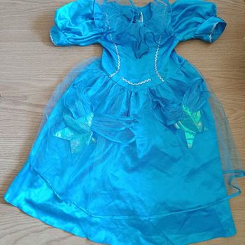 Déguisement reine des neiges