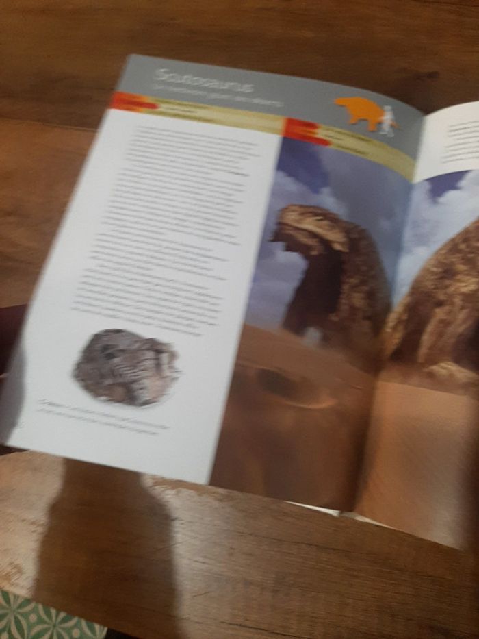 Grand livre Préhistoire des dinosaures aux premiers hommes - photo numéro 5