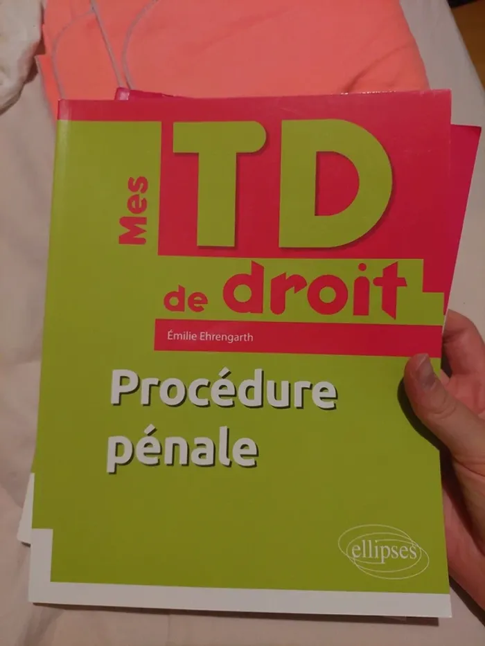 Aide aux TD procédure pénale ellipses - excellent état