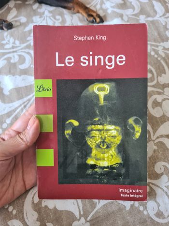 Livre le singe
