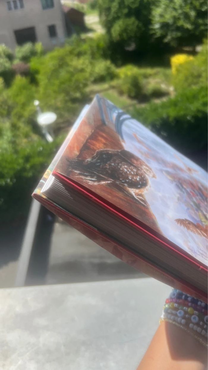 Harry Potter à l’école des sorciers – Édition illustrée - photo numéro 4