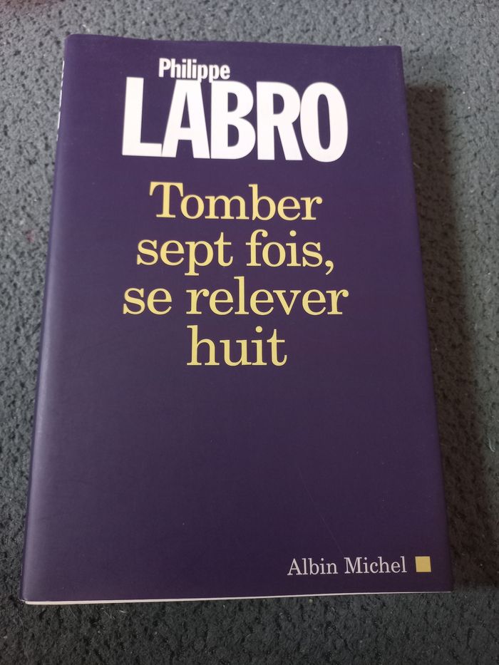 Livre Tomber sept fois, se relever huit - photo numéro 1