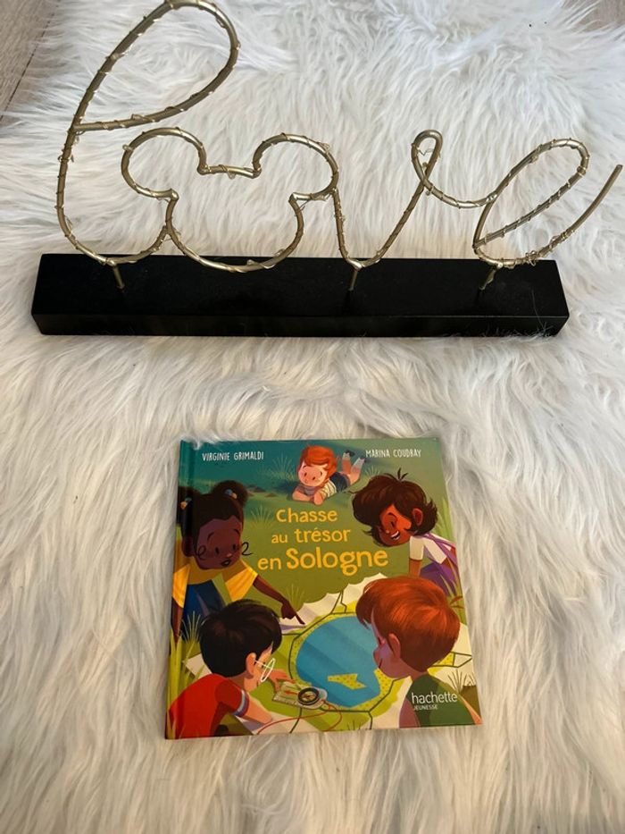 Livre pour enfants 🥰chasse au trésor en sologne hachette